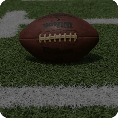 Rugby Betting Software